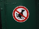 20061108132208-perro-cagando.jpg