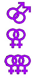 20071114145954-simb14.gif
