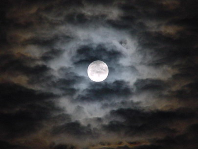 20080218224304-luna.jpg